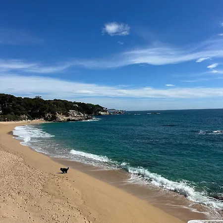Apartament Nordico - Piscina Y Playa A 10 Min Platja d'Aro