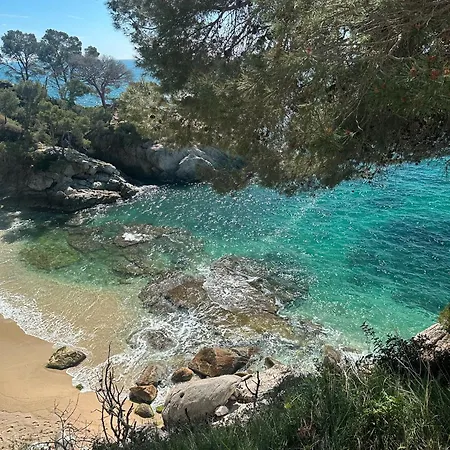 Nordico - Piscina Y Playa A 10 Min Apartament *